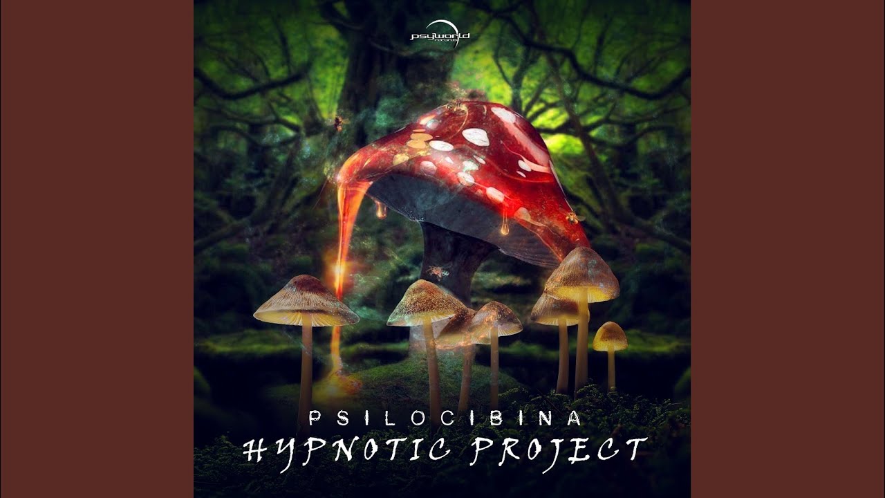 Watch Psilocibina on YouTube Watch Psilocibina on YouTube