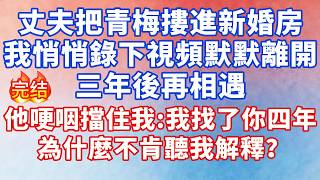 目睹丈夫把青梅竹馬摟進新房，我悄悄錄下視頻默默離開。三年後再相遇，他哽咽擋住我：我找了你四年，為什麼不肯聽我解釋？#情感故事 #故事 #婚姻 #深夜淺讀 #幸福人生 #小说 #爽文