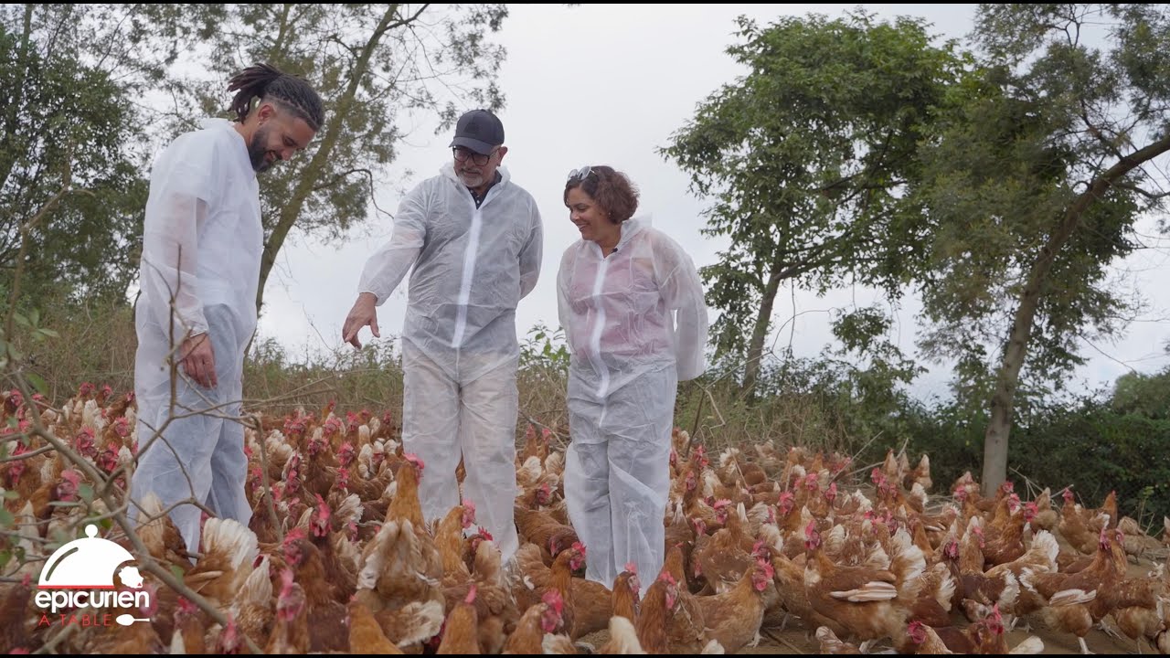 ÉPISODE 158 - LES P'TITES POULES EN PLEIN AIR DE CHRISTOPHE