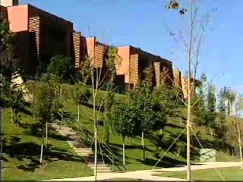 სიუჟეტი \"ლისი დეველოპმენტის\" შესახებ  \"შუა დღის შოუში\"