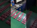 Press On Nails Factory Fake Nails Wholesale Vendor Press On Nails Factory Fake Nails Wholesale Vendor