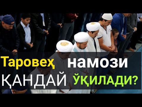 Таробех намози қандай ўқилади эркаклар. Таровеҳ намози. Таровеҳ намози тартиби. Таровеҳ намози тасбеҳлари. Таровеҳ намози ўқиш тартиби.