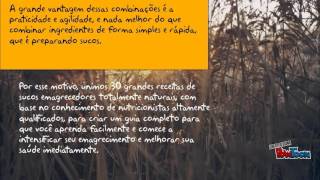 30 Melhores Receitas de Sucos Emagrecedores screenshot 2