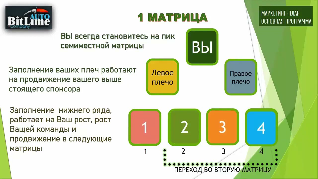 BitLime АВТО программа
