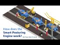 Middle of video