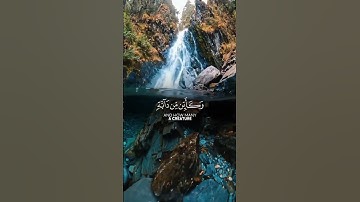 تلاوة خاشعة للقارئ🎙️ عبدالرحمن مسعد 🍂 #تلاوة_خاشعة #اكسبلور #عبدالرحمن_مسعد #القرآن_الكريم #فولو