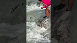 🐟🐟#foryou #fishing #trendingshorts #youtubeshorts #ytshorts @KaalFisher @Fishfam @RAWWFishing 🫶