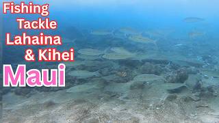 Tackle Stores in Lahaina & Kihei | Maui