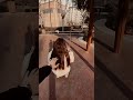 الوصل غايه والبعد شين 