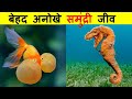 इन समुंद्री जीवों को देखने के लिए नसीब चाहिए। MOST UNIQUE SEA CREATURES IN WORLD.