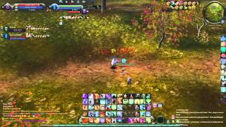 Aion Cataclysm Sorcerer