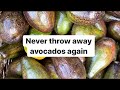 How to source, store and preserve avocados