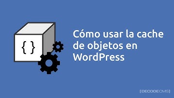 Cómo usar la cache de objetos en WordPress