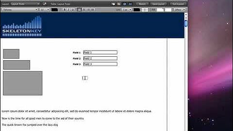 Layout Tools in FileMaker  : The Basics