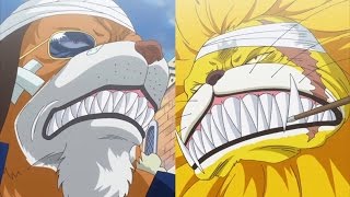 One Piece Episode 767 ワンピース Anime Review Inuarashi Vs Nekomamushi The Samurai S Shocking Secret Youtube