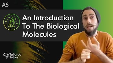 An Introduction To The Biological Molecules | A Level Biology Revision | AQA