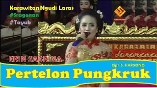 ERIN SABRINA - PERTELON PUNGKRUK (Original Version -  Video)