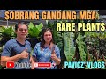 Sobrang Gandang Mga Rare Plants | Plant Hunting ni Konsi Plantita | Pavicz' Vlogs