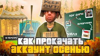 АФК ФАРМ ОСЕНЬЮ на АРИЗОНА РП! 🍂💰 ЛУЧШИЕ ВЛОЖЕНИЯ на ARIZONA RP (GTA SAMP)