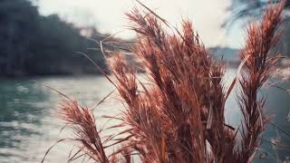 Minolta MD Rokkor 20mm f2.8 Graded Test Footage - YouTube