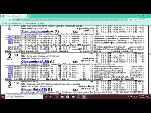 Best Horse Racing Handicapping Tutorial and Tips