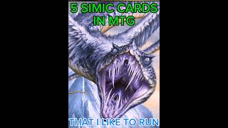 5 SIMIC CARDS IN MTG THAT I LIKE TO RUN #wiirphysical #MTGアリーナ #mtg #magicthegathering #simic