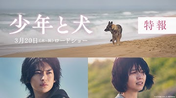 映画『少年と犬』特報映像【2025年3月20日(木・祝)公開】