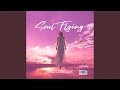 Soul Flying 