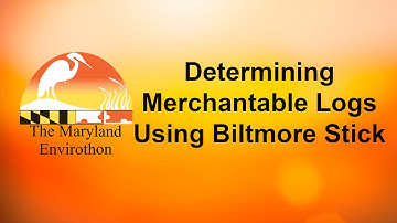 Determining Merchantable Logs Using  a Biltmore Stick