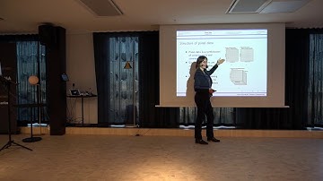 Causal inferences with time-series cross-sectional data - Karina Shyrokykh, Researcher at Ericsson