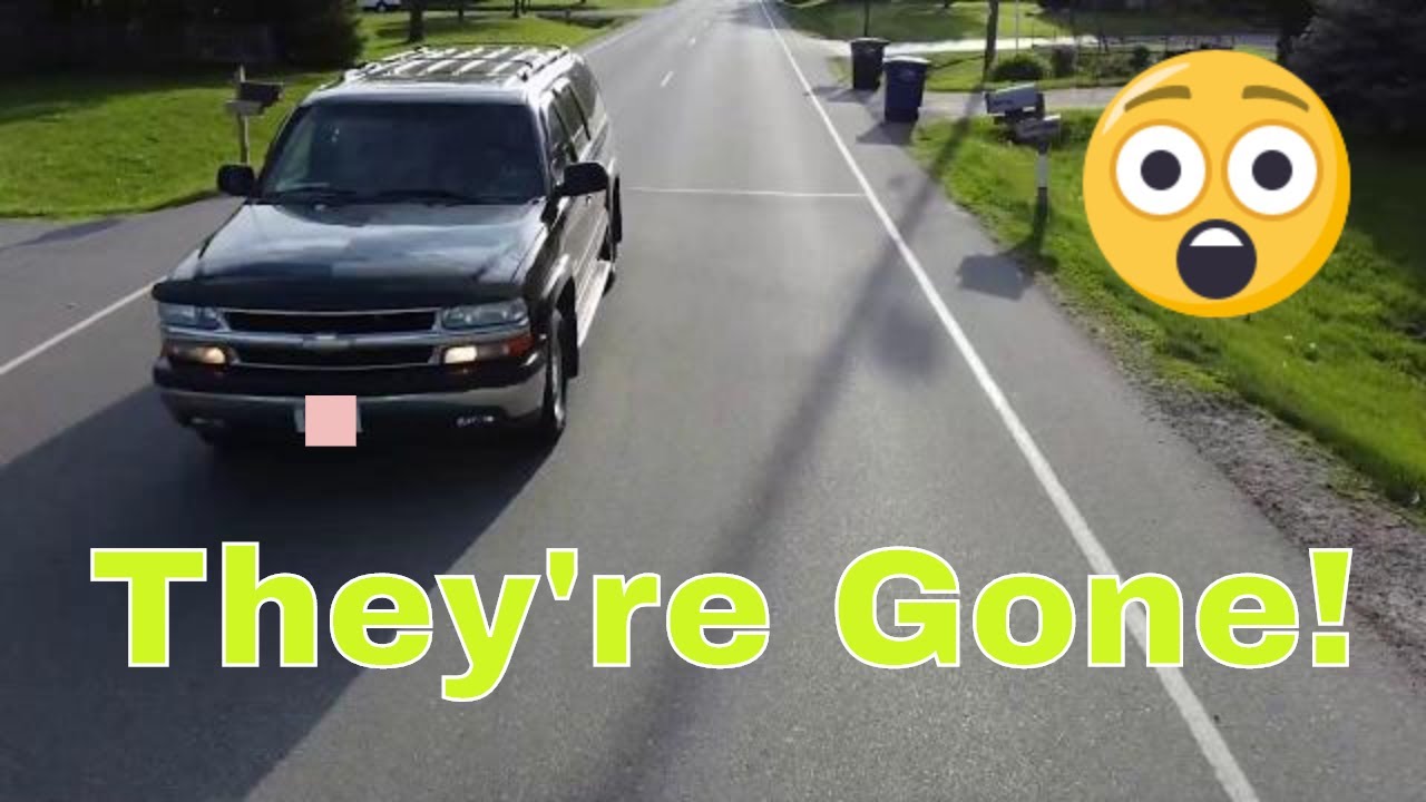 The Trees are GONE!!! - YouTube
