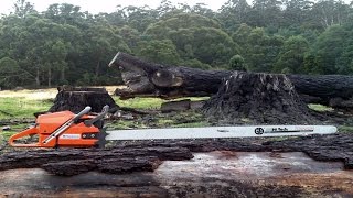 Chainsaw VS Giant Log - Hilarious Wood Cutting Compilation