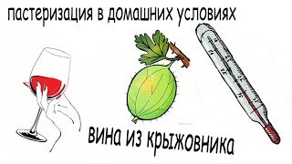 Пастеризация вина из крыжовника в домашних условиях Пастеризация вина из крыжовника в домашних условиях