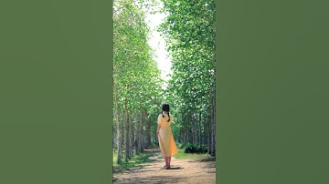 900만 조회수 나온 갤럭시 5배줌 활용법(여름버전) #사진작가 #사진찍기 #사진꿀팁 #사진잘찍는법 #스마트폰사진 #스마트폰카메라 #스마트폰꿀팁 #폰카 #갤럭시 #갤럭시카메라