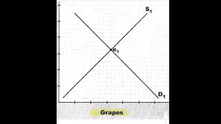Equilibrium Assignment Instructions