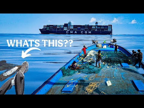 32 Days at SEA! What's REALLY Happening on Our Deep-Sea Fishing Expedition