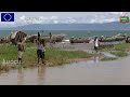 EU-LATAFIMA: Going to the rescue of fishing despite challenges