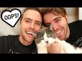 WE GOT ANOTHER CAT!