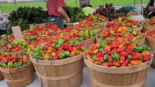 Farmer's Market 8/27/22 in Minnesota #farmermarket