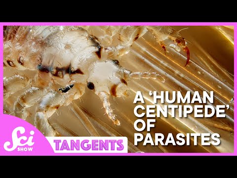 SciShow Tangents