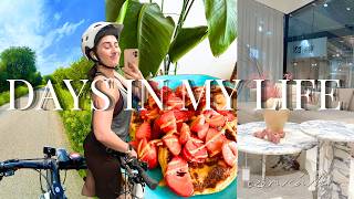 days in my life: making the most of summer | renovation inspiration and errands | food haul