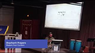 Parashat Vayishlach (He Sent) Genesis 32:4-36:43 
