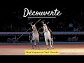 Decouvertela troupe alma vaquera au saut herms