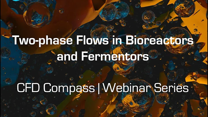 CFD Compass | Two-phase Flows in Bioreactors and Fermentors