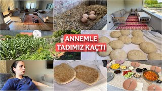 HEPSİ YALANCI OLMUŞ☹️ANNEMDEN BAZLAMA✅KÜMESTEN YUMURTA😍BİRAZ EV İŞLERİ💯YENGENİN BAHÇESİ🍀EVİME DÖNDÜM