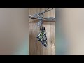 Mesmerising footage shows the incredible metamorphosis of monarch butterflies