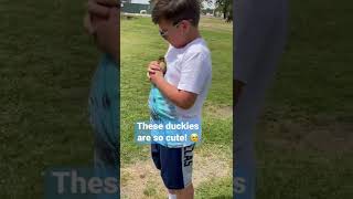 Baby ducks #ducklings