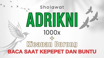 Sholawat Adrikni 1000x Tanpa Musik dan Suara Burung - BACA SAAT KEPEPET DAN BUNTU