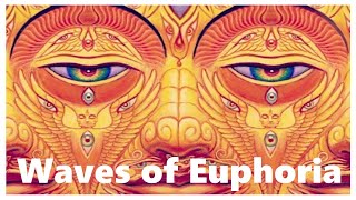 Waves of Euphoria - An AL-LAD & LSD Trip Report