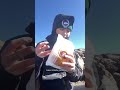 Rating everything I got at 7/11 Hawaii ( ft. Mauna Kea )